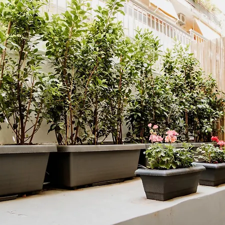 Modern Oasis In Fokionos Negri Apartment Athens